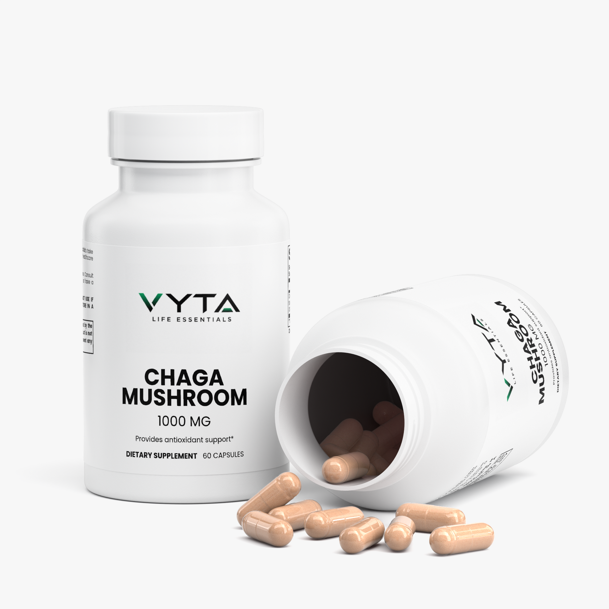 Chaga Mushroom